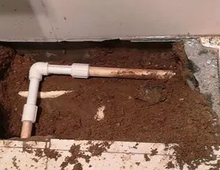 鹰手营测漏水哪家好