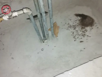 鹰手营卫生间测漏水价格明细