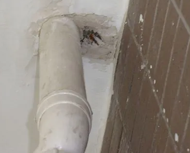 鹰手营漏水检测哪家好